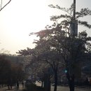 교문2동 행정복지센터 앞 이미지