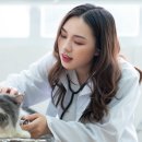 서초동물병원 이미지