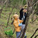 괴산농장 이미지