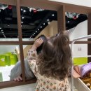 라라키즈 어드벤처 이미지