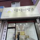 댕댕이발소 이미지