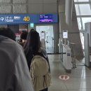 S.T엔터테이먼트 | #01 인천-로마 티웨이 B777-300ER 비즈니스석 후기