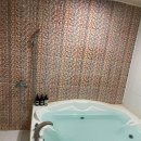 덕산대중탕 | 덕산온천에서 가족과 함께 온천의 진수를! [백제호텔]