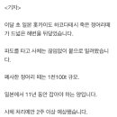 11년치 정어리떼 또 폐사...영국의 오염수 연관성 보도로 발작한 일본 이미지