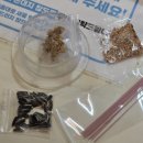 롯데푸드(주)롯데백화점 광복점 | 광복 롯데백화점 앵무새카페 리프패럿