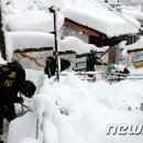 강원 영동 닷새째 '폭설' 122㎝…피해액 1억4068만원 이미지