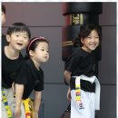 팀태권도장 이미지