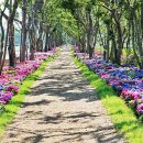 신안축구장 축구장 이미지