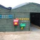 꿈나무교육농장 네이버블로그