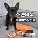 대한야채 | 펫퍼스 강아지 화식사료 애견비책 소고기와야채 급여후기