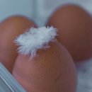 그린낚시 이미지