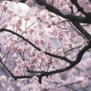 태성초등학교 이미지