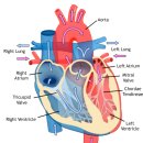 하늘동물병원 이미지