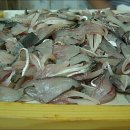 물망초횟집 이미지