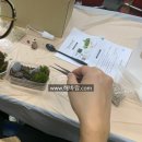 원예 테라리움 이미지