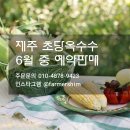 토브농장