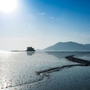 빛과갯벌-1 이미지