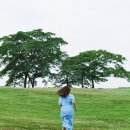 한올 - 강북구 오패산로 396 | 한올