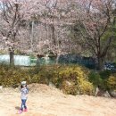 시현민박 이미지