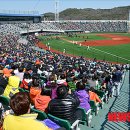 문수야구장 이미지