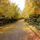 서울여자고등학교 이미지