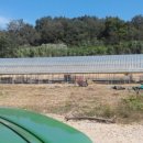 열방농장 이미지