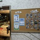 스탠퍼독 이미지