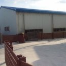 월림1리 마을회관 이미지