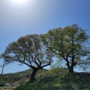 애기봉목장 이미지