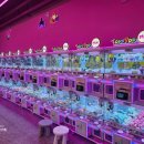 팡팡오락실 이미지