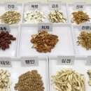 대한도매약업사 티스토리