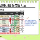 소수