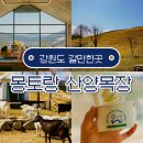 고원목장(2) | 몽토랑 산양목장 강원도 태백 가볼만한곳 여행 추천