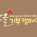 한올가발