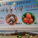 중세동농산물 영농조합법인 이미지