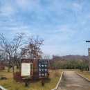 구갈레스피아공원 | 몽실이랑 다녀온 기흥호수공원 레스피아 반려견놀이터! 무료라고? 넓고 깨끗해서 강추해요🐶