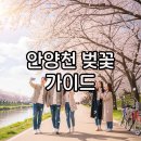 양평1동-60 | 안양천 벚꽃 마라톤·축제 완벽 가이드
