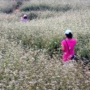 비사벌농장 이미지