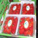 소병호농장 이미지