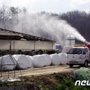 김용빈농장 이미지