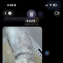 몽실쌀롱 이미지