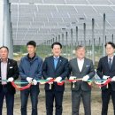 영광시스템 태양광발전소 이미지