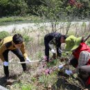 산촌마을 이미지