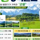 (주)해피투어여행사