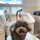 홍글몽글 이미지