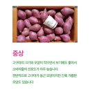 쟁기 | [쟁기돌이]물고메는 가라 퍽퍽함이 매력 경기도 여주 원조 알밤고구마