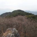 용천카클리닉 네이버블로그