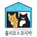 훌리오&꼬시까