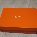 7356 | 크리스마스 셀프 선물! 나이키 에어 줌 페가수스 38 (CW7356 103) 후기