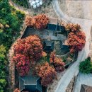 허니치킨 이미지